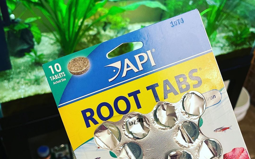 For You Who Like Root Tabs