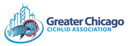 Greater Chicago Cichlid Association Swap Meet
